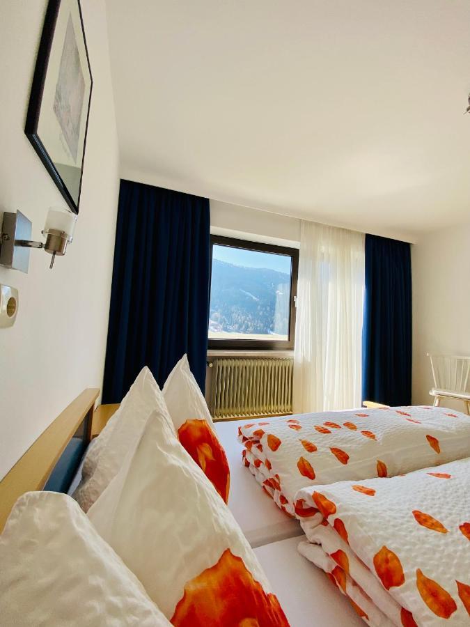 Haus Alpenrose Apartment Trins Exterior photo